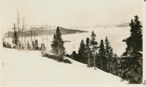 Image of From Hill back of house, winter scene
